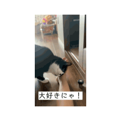 [LINEスタンプ] けろりりのねこちゃん2