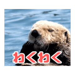 [LINEスタンプ] 山と海からの挨拶スタンプの画像（メイン）