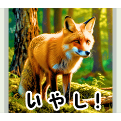 [LINEスタンプ] 世界の動物図鑑 2:日本語