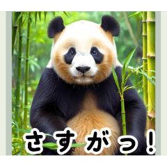 [LINEスタンプ] 世界の動物図鑑:日本語