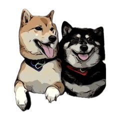 [LINEスタンプ] 柴犬兄妹 久兵衛 梅
