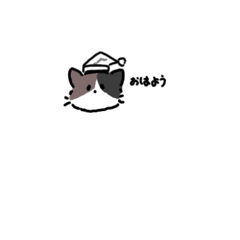 [LINEスタンプ] 小さめの猫