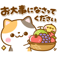 [LINEスタンプ] ねこねこにゃんこ♡毎日使える敬語の画像（メイン）