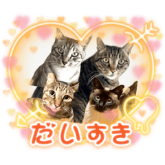 [LINEスタンプ] ミルクかわジルちび