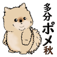 [LINEスタンプ] ポメラニアンのつもり『秋』