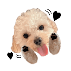 [LINEスタンプ] 犬のモノトーンスタンプ