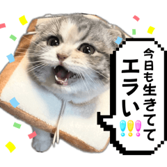 [LINEスタンプ] シュウマイのすたんぷ！