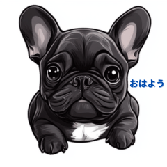 [LINEスタンプ] フレンチブルドッグ ブリンドル