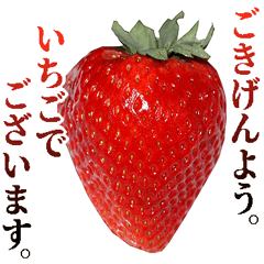 [LINEスタンプ] 敬語いちごの画像（メイン）