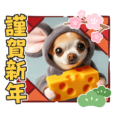 [LINEスタンプ] オコジョすたんぷ(お正月バージョン)