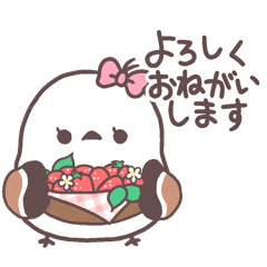 [LINEスタンプ] シマエナガの【ぷぷずくらぶ】日常スタンプ