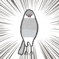 [LINEスタンプ] 毎日使える文鳥さん