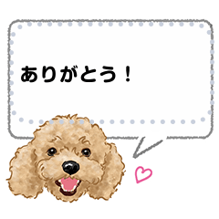 [LINEスタンプ] トイプードルからのメッセージ_01