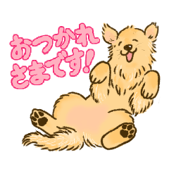 [LINEスタンプ] 8kanchi8のゴールデンレトリバースタンプ2