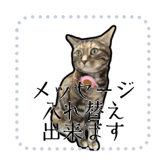 [LINEスタンプ] kurumi"