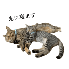 [LINEスタンプ] まると三姉妹