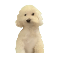 [LINEスタンプ] シンプルな態度でか犬