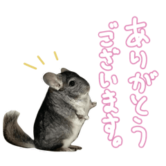 [LINEスタンプ] ミセバヤスタンプ①