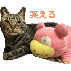 [LINEスタンプ] 天とほののスタンプ2