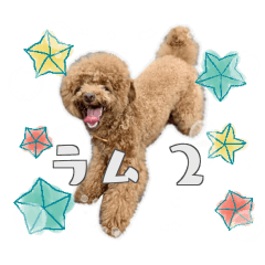 [LINEスタンプ] #055 ラム2 *asachi