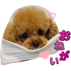 [LINEスタンプ] めろめろめろん♡5