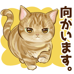 [LINEスタンプ] ねことおでかけ。【待ち合わせスタンプ】