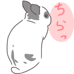 [LINEスタンプ] パンダ柄うさぎのぶっちゃん