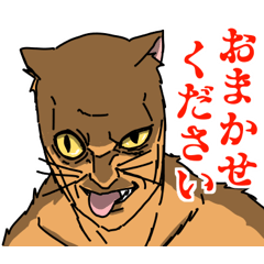 [LINEスタンプ] 【毎日使える】おっさん猫の変顔スタンプ