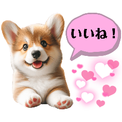 [LINEスタンプ] かわいいコーギーの犬スタンプ