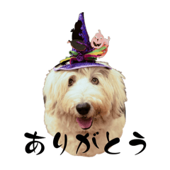 [LINEスタンプ] ハロウィン26