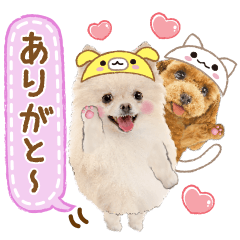 [LINEスタンプ] かわいい犬たち❤️ワンダフル ポメ