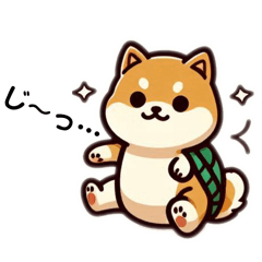 [LINEスタンプ] カメ柴ver1.0