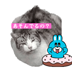 [LINEスタンプ] ナチュラルとの出会い