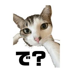 [LINEスタンプ] ラテモカシリーズ1