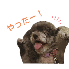 [LINEスタンプ] きゃらめるちゃんスタンプ