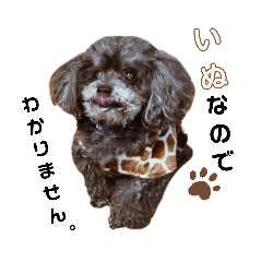 [LINEスタンプ] きゃらめるちゃんスタンプ2