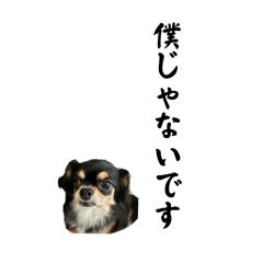 [LINEスタンプ] ナンザワ家