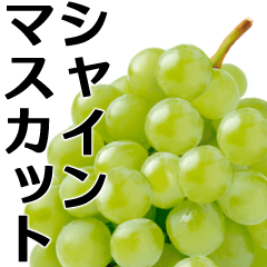 [LINEスタンプ] シャインマスカットが食べたいな▶飛び出す