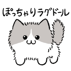 [LINEスタンプ] ぽっちゃりラグドール