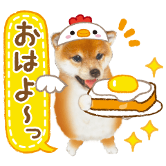 [LINEスタンプ] かわいい犬たち❤️ワンダフル しばけん