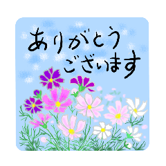 [LINEスタンプ] 茶々丸と女の子 第39弾