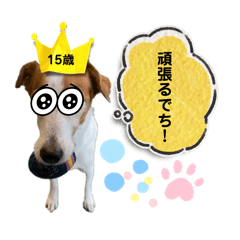 [LINEスタンプ] スムースジャック