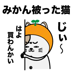 [LINEスタンプ] みかんを被った猫