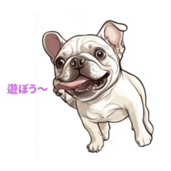 [LINEスタンプ] フレンチブルドッグ クリーム