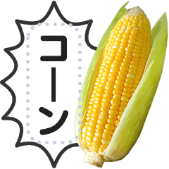 [LINEスタンプ] リアルな野菜で挨拶・会話をしよう！