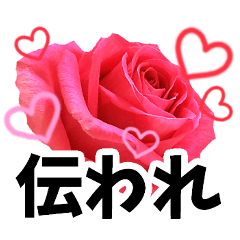 [LINEスタンプ] 推し活に花を♪