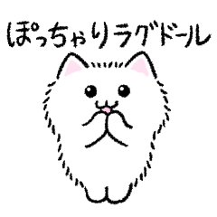 [LINEスタンプ] ぽっちゃりラグドール(白)