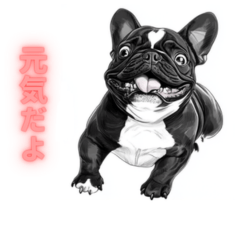 [LINEスタンプ] リアルなフレンチブルドッグの白黒ちゃん