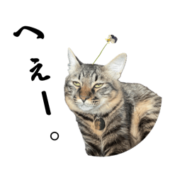 [LINEスタンプ] あまふあスタンプ