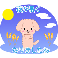 [LINEスタンプ] ちびプードル10【秋】